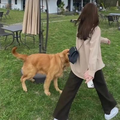 巨大蚂蝗攻击